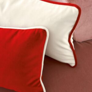 Almohadones en terciopelo con vivos